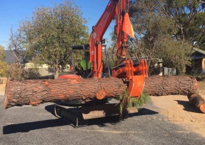 A Wrehaven tractor featuring a crane attachment which allows the tree or limbs of the tree to be transportated to trucks or areas where the tree can be cut in shorter se