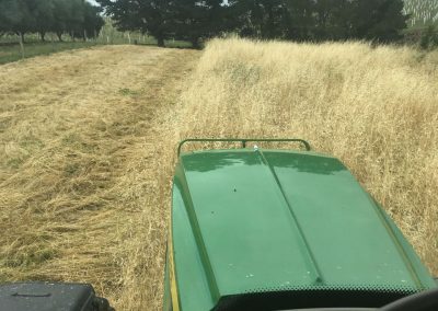 Block slashing in the Barossa Valley