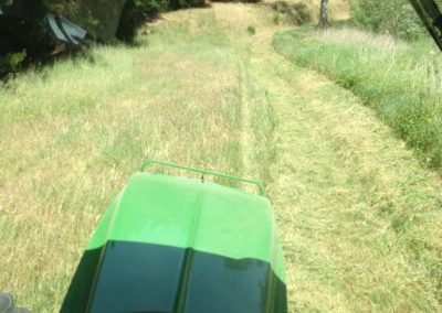 Block slashing on a downhill trajectory Adelaide Hills