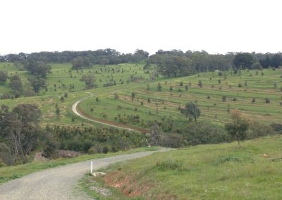 Paddocks being surveyed to see what block slashing needs to be done South- Australia_n